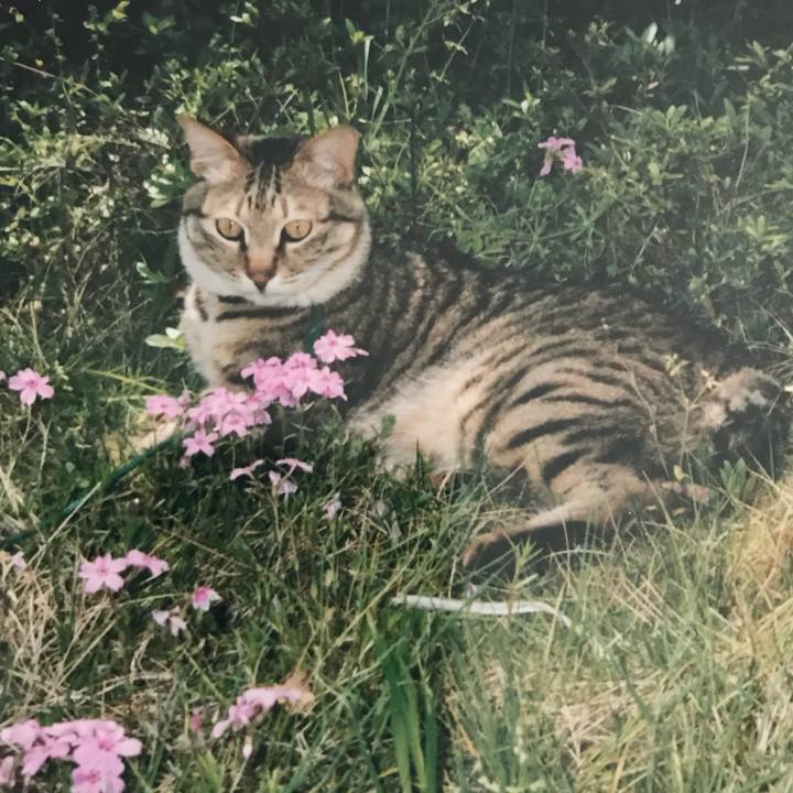 E0dfe87d 05cb 4571 8034 83e8d587e4f2 1701309038716