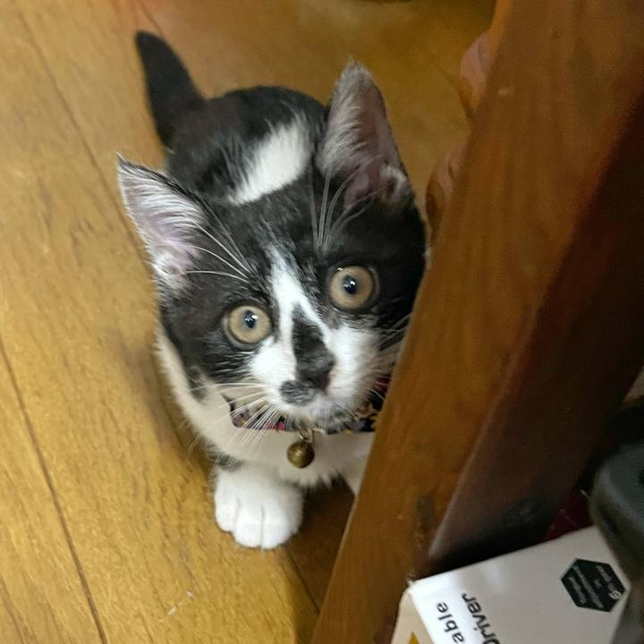 E0e04071 712c 40a0 91d4 2667687463a4 1699491973517