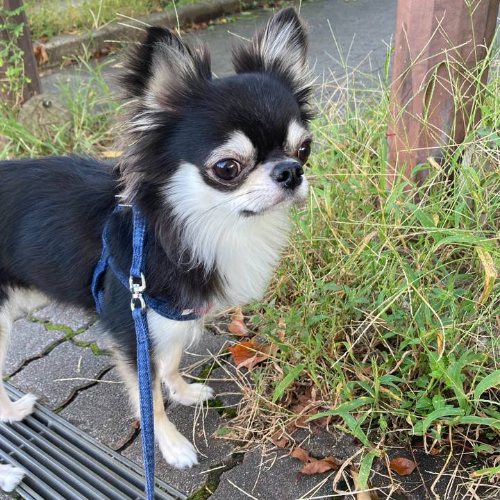 E0e08030 fa0a 4626 97f5 c601fa5e86fb 1633236135113