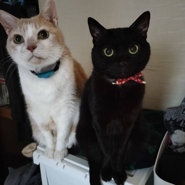 E0e0f78f 659e 4f53 9e95 8a52e68c143a 1642977555291