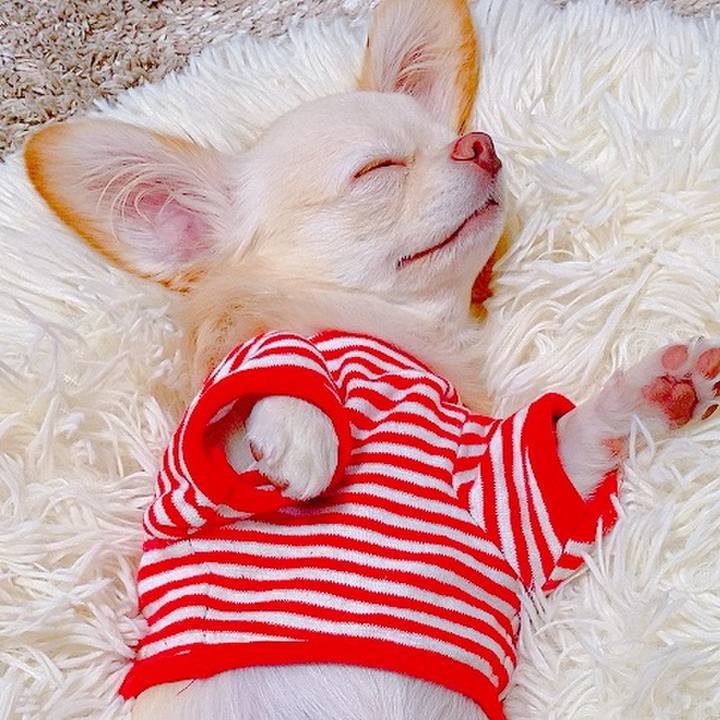 E0e10221 2525 4203 85bf ab23b6f29daf 1632661588906