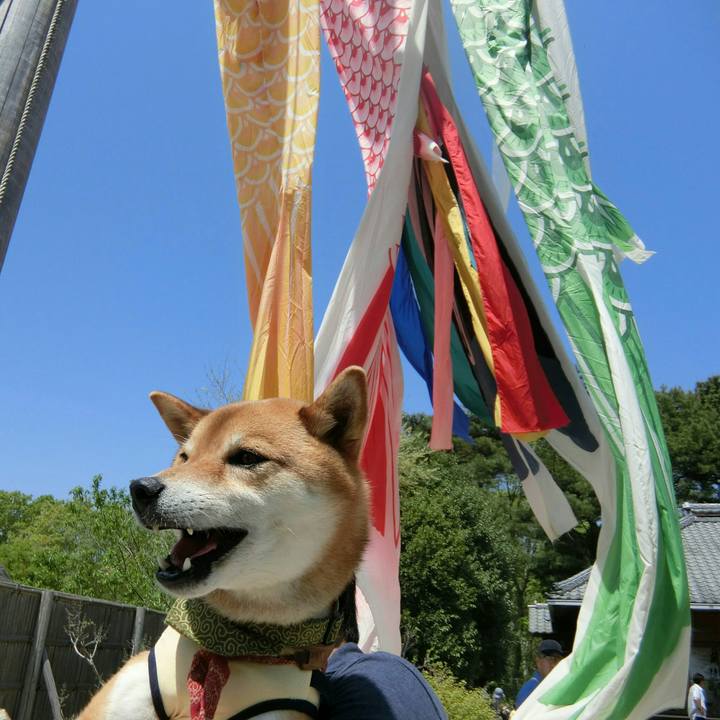 E0e10a5b 1858 4be5 9681 6a3a3088868a 1524467147509