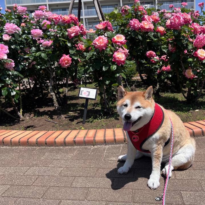 E0e17737 1325 4e19 9e49 d53441ebcae3 1714879660888