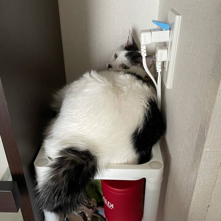 E0e1783e 8b9b 4658 861a 06789a33a468 1626738157101