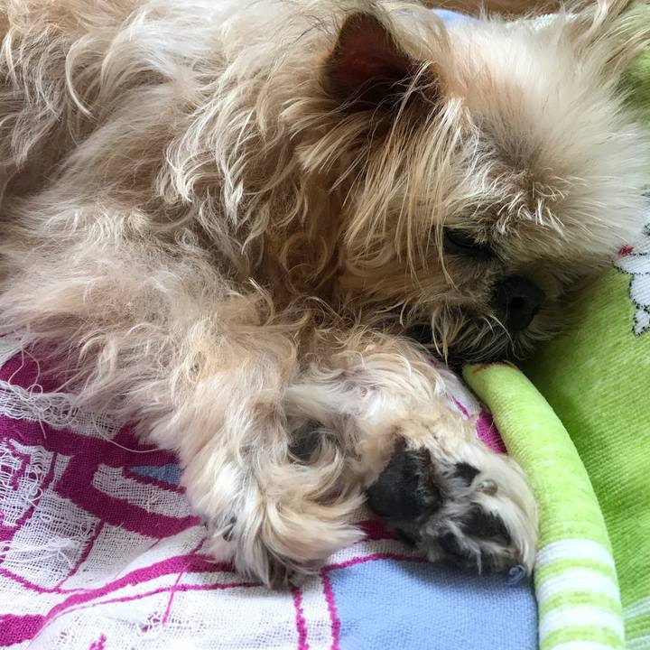 E0e1970d 8d51 4b9b 9553 3acfdcc77265 1590384712552