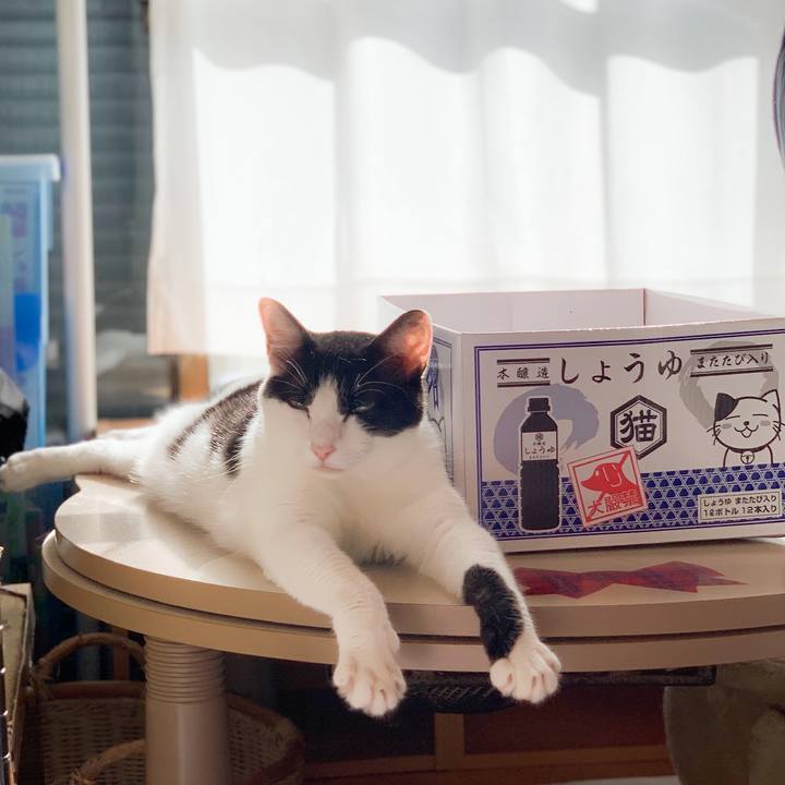 E0e1a62b f6c3 4148 8b82 3dccf8991282 1567561193410