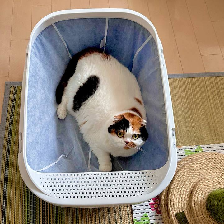 E0e1b8f3 09f1 4578 944b d4cd84e24c86 1690181639354