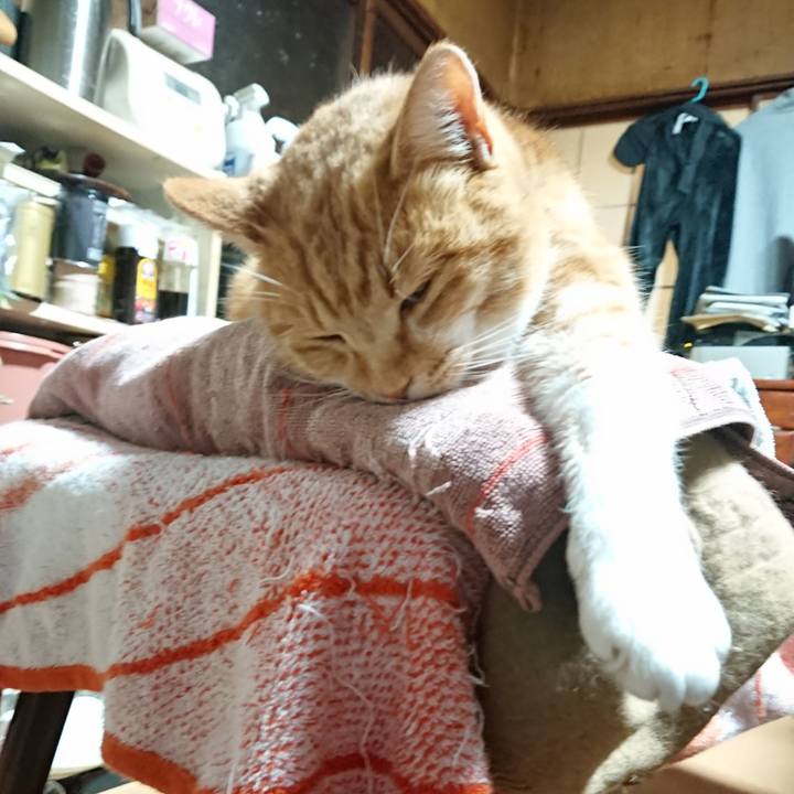 E0e1bd86 449d 44bc 868d 484a17d88552 1607287138663