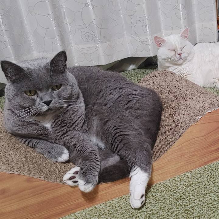 E0e1ed9a d5d1 4f55 85f8 92e265f12b4f 1658058221701