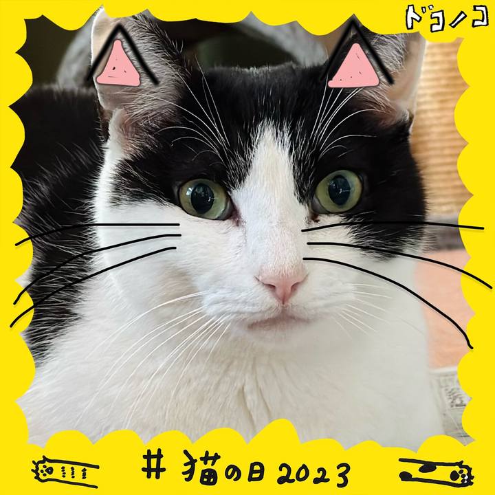 E0e22514 89e8 45ed 8f96 4375d4750e33 1677030330278