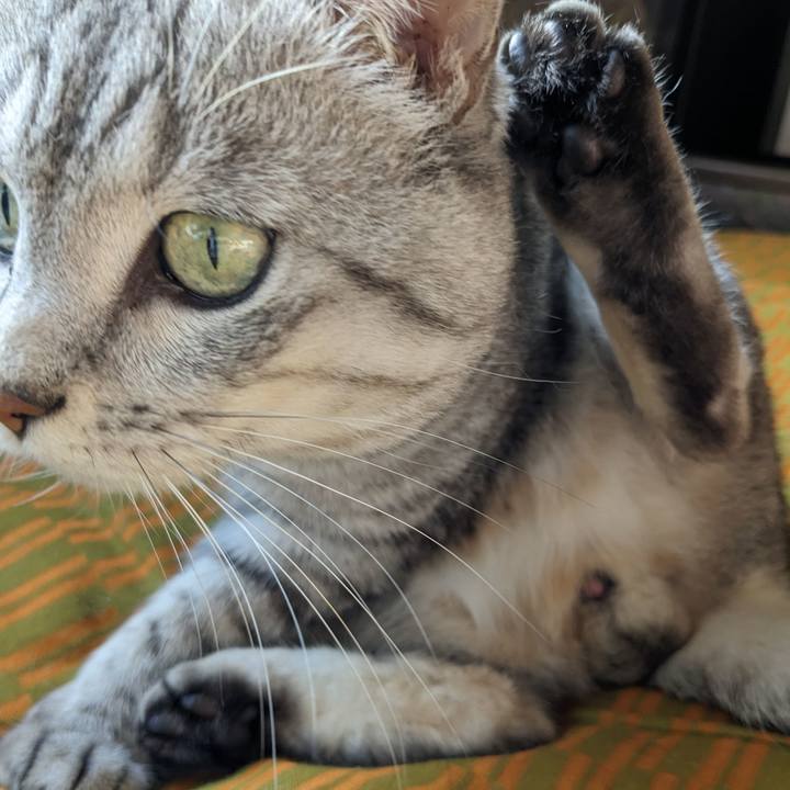 E0e23610 6315 430d a137 4b7b63309af6 1697425729318