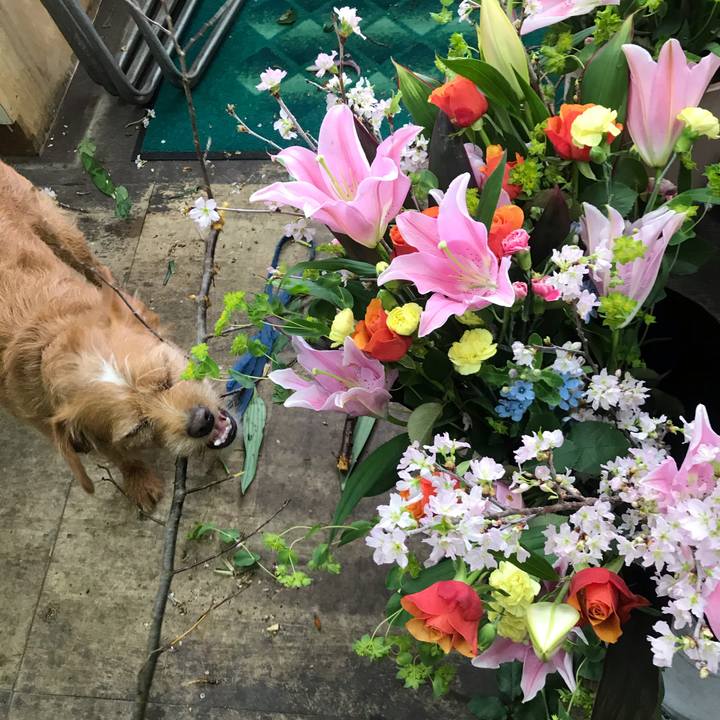 E0e28b1d e318 4a02 83df 5120b28fef46 1585647049514