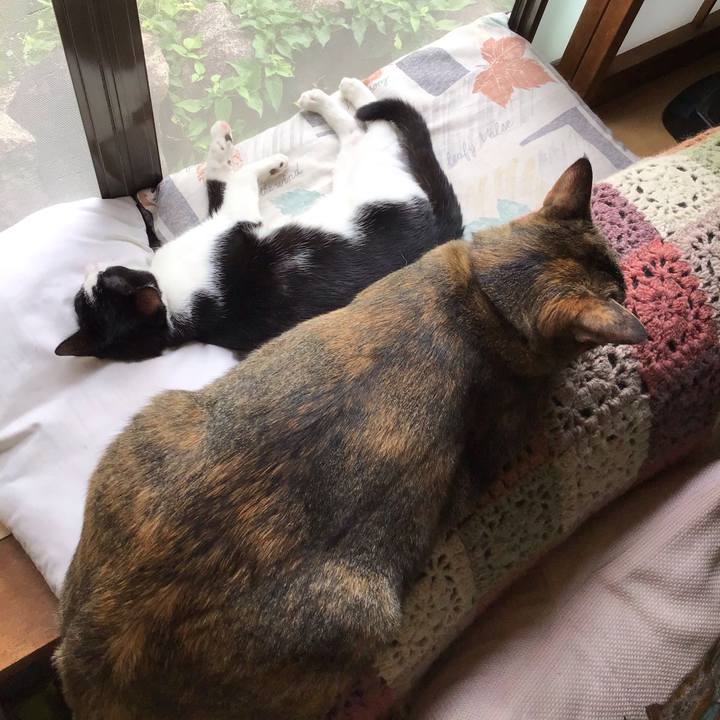 E0e28fc9 76d2 482d a35e 2263c351da3b 1631076198582