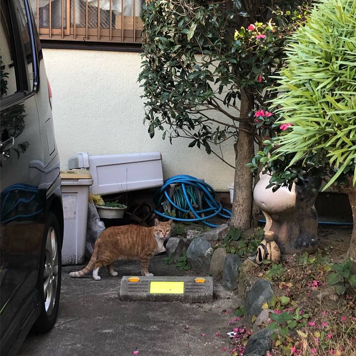 E0e2996c fe4a 4930 86a6 c177e0ff8b24 1609366635859