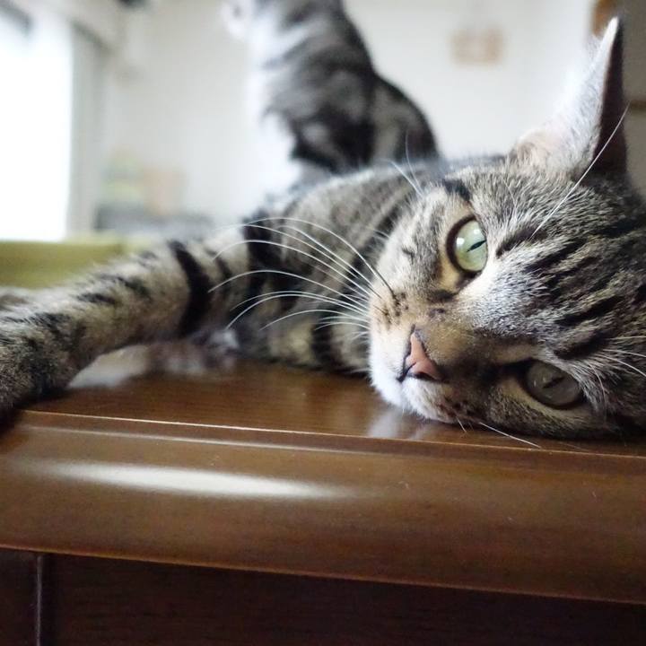 E0e29d67 7a38 46a2 b186 e3d81c03660d 1536627359015