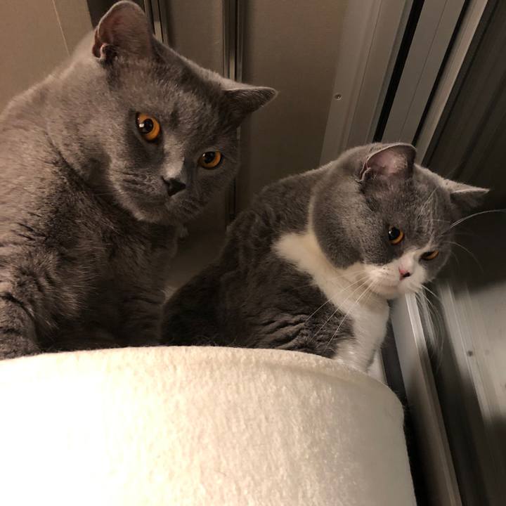 E0e2a757 447c 4bb9 b543 cf5418a03118 1512948830509