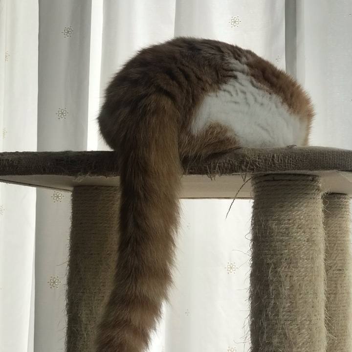 E0e2a931 397c 46a1 b555 02f04500d5d0 1625967021200