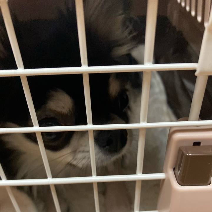 E0e2ac51 eeba 4516 b211 460df65ac36c 1610840238797