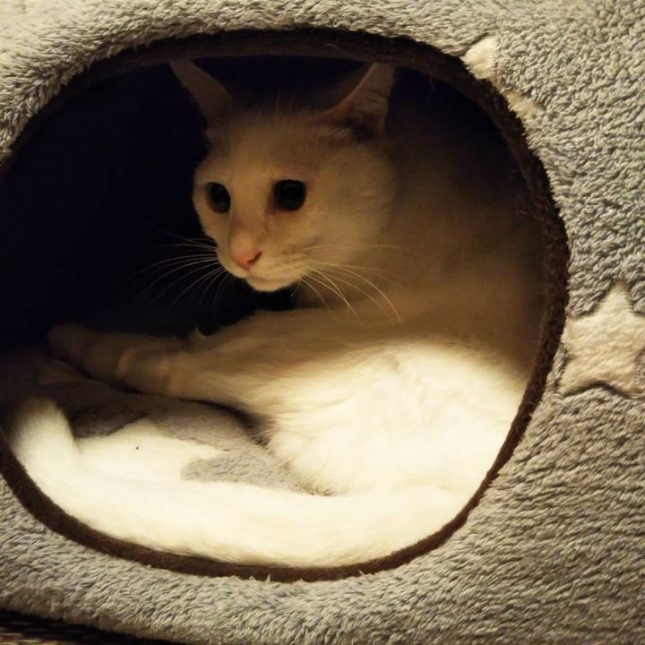 E0e2e4f6 4475 47fb 8f81 dcd7dc0ae9f5 1574592765706