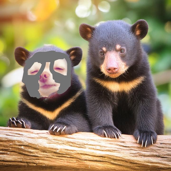 E0e30a6c 6b5d 4dd4 8526 1de69fdfbc92 1719135121731