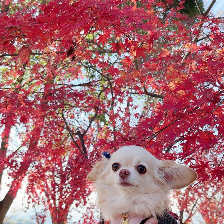 E0e356b4 4aa3 4029 82f0 f8b6911cb6bf 1701589602917