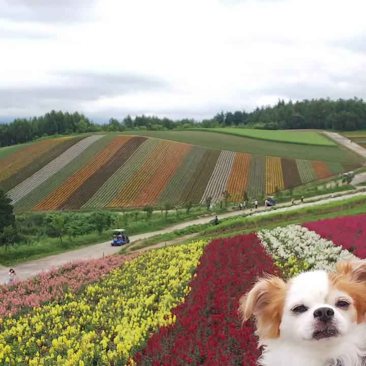 E0e36998 dd5b 4be1 aec0 c8a41524fca3 1531723792855