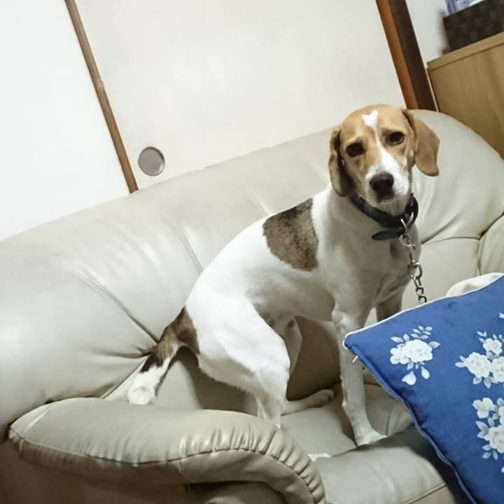 E0e36f14 aa3f 443e 87f0 69b4c877b650 1567153356747