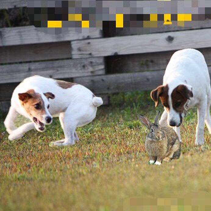 E0e39471 ccc1 40ac a672 52c2c28a3551 1554098475986