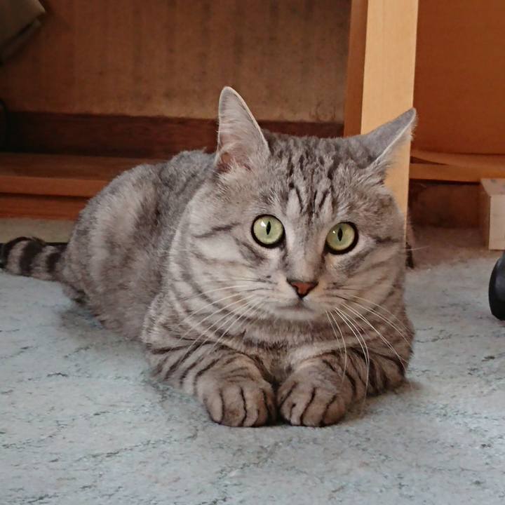 E0e3f871 2642 4ca3 b99c 3a91def145e6 1574436298407