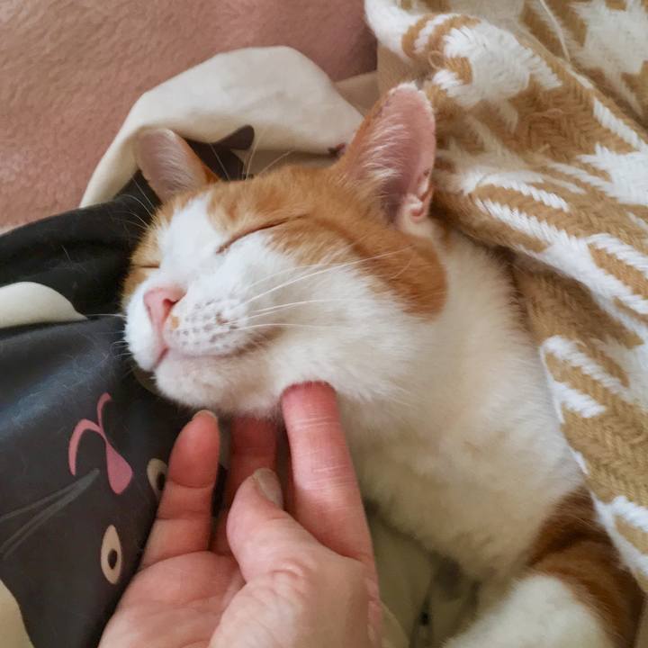 E0e44db8 8fe3 4206 b3a0 164541924059 1568976237437