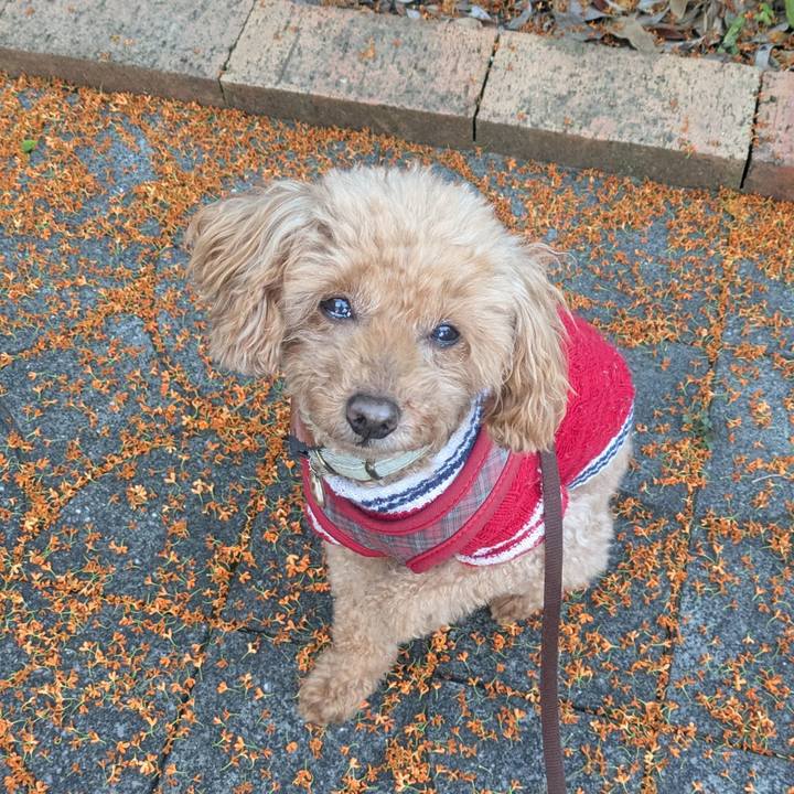 E0e46102 4eda 4f87 8880 0af94f425241 1763178672489