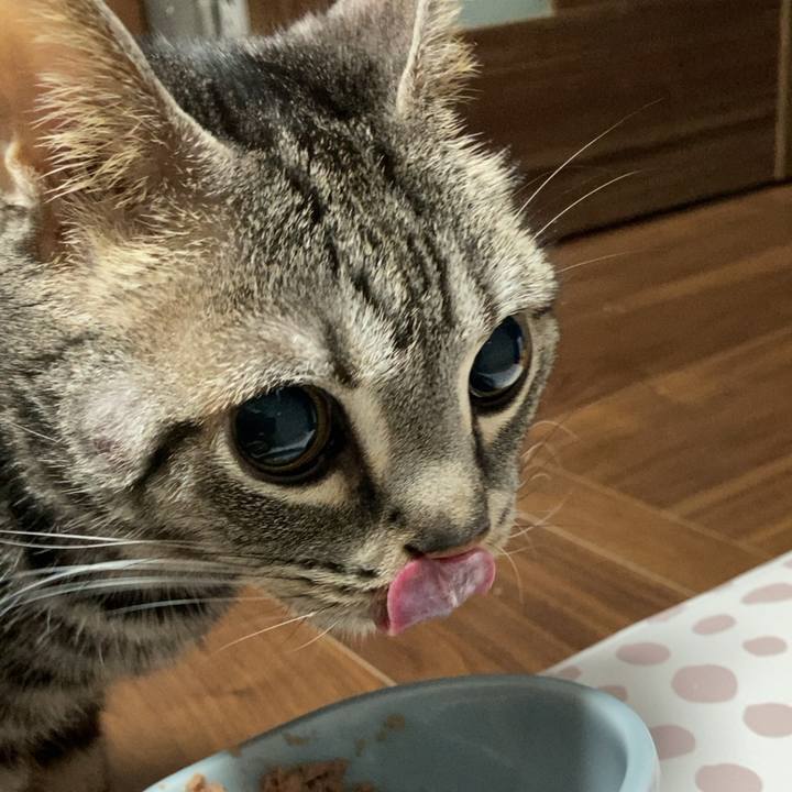 E0e49184 7385 426d a2ec 90c3204bc848 1680733281729