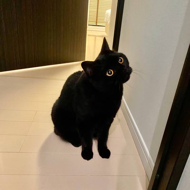 E0e4988d 5fc5 470f b316 ab2f14457d2b 1600602753087