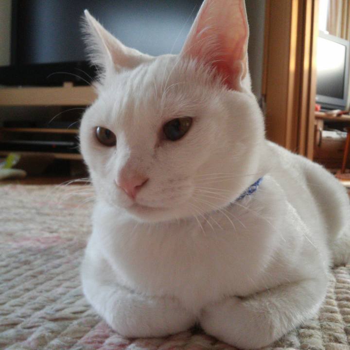 E0e49b78 d734 4005 82b7 9ad564d9af1b 1525338685689