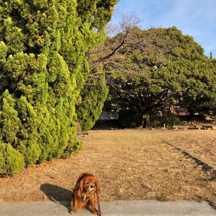 E0e4c496 3550 49e5 8163 dd9f4eececc9 1609033605389