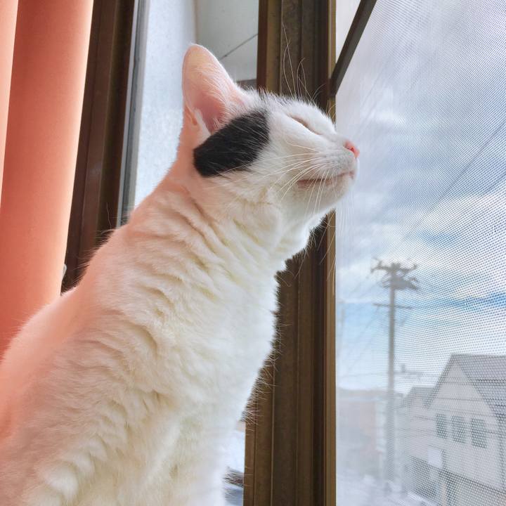 E0e4d6dd 7961 4542 aaa8 bd42f19a49b2 1566617170859