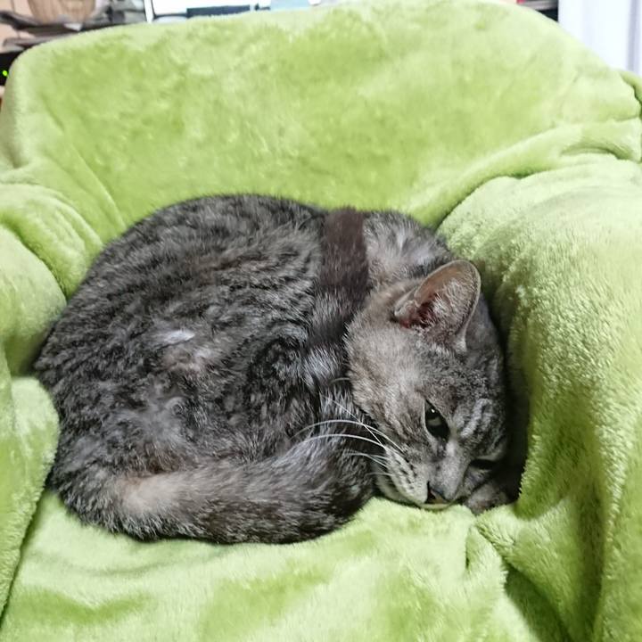 E0e525e6 c3d3 430a b84d 1bbe83d28557 1583532189720