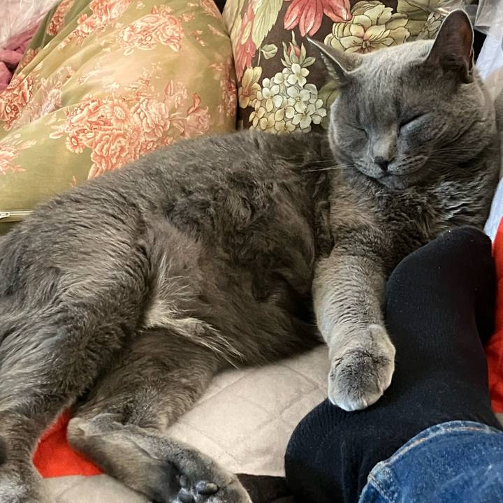 E0e52b1d 7f1d 4c98 9681 f7b7bacac5d5 1693951251991