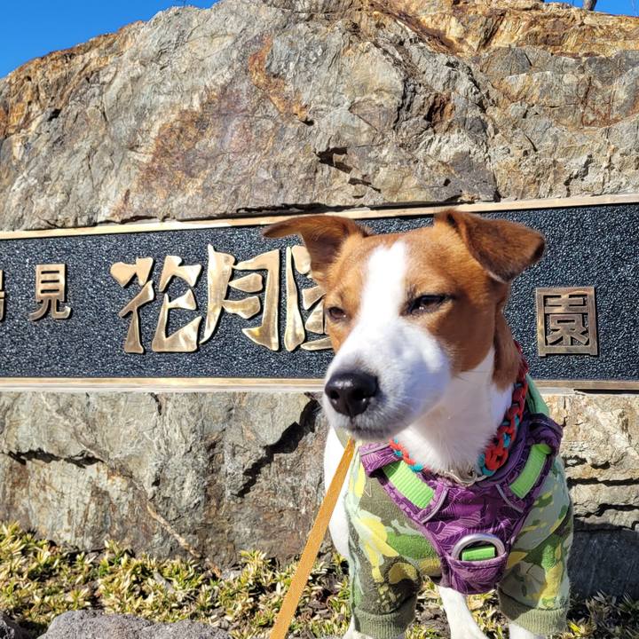 E0e53f97 3b35 40d0 9433 1eea3a574229 1703153918552