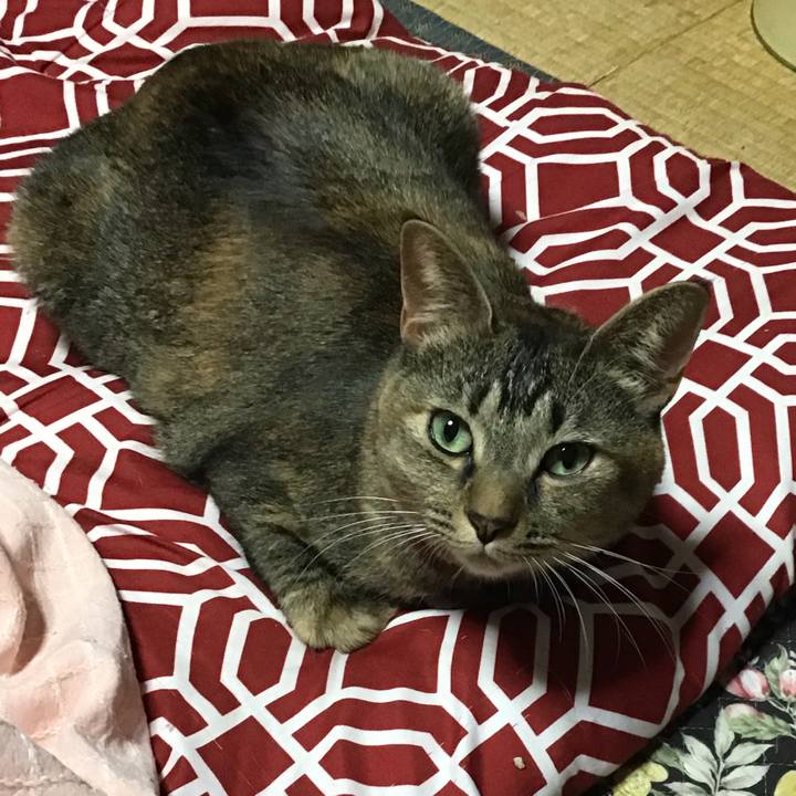 E0e55068 5783 4294 881e 63e69a12f84a 1636450601041