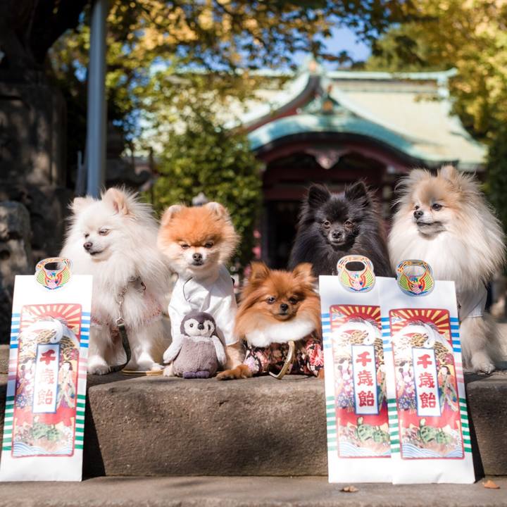 E0e559e2 0469 46ec 9100 50efc1983f88 1510404349241