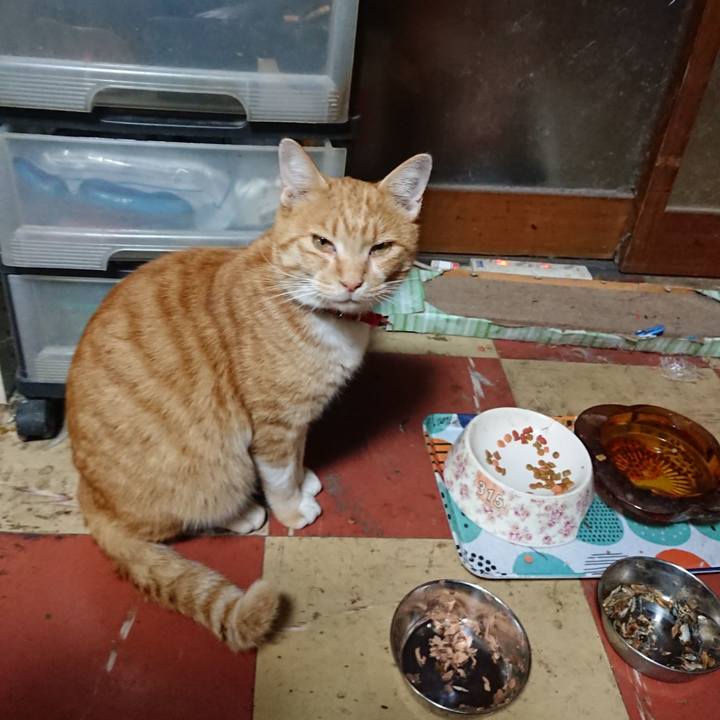 E0e57049 88f6 4f77 b302 8e433272a34e 1572684875194