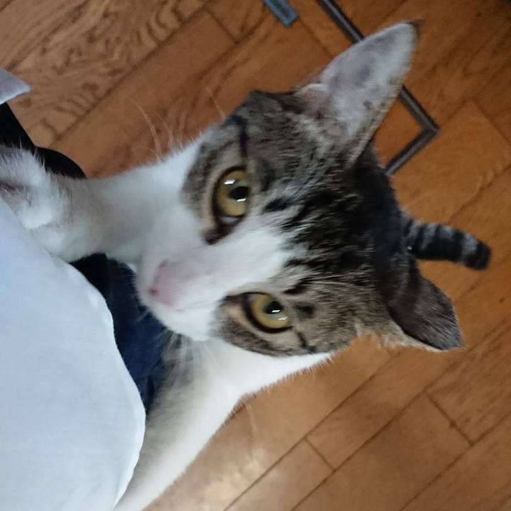 E0e585ea eb32 41b9 a287 5fd08353c3c1 1509606795424