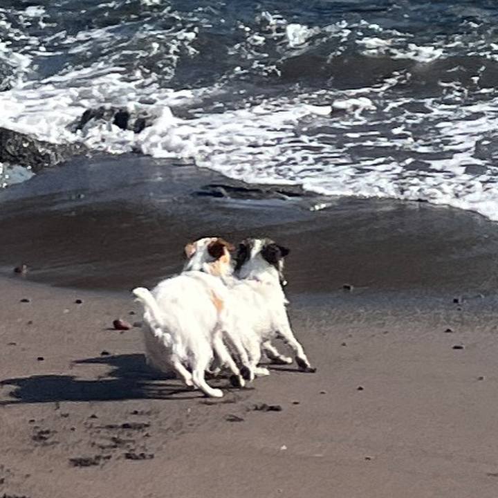 E0e586a8 9842 4d13 aa36 9a1be9dc324d 1768709646838