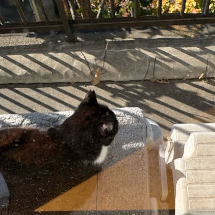 E0e5c0eb d3e4 44e5 ad27 d4277cc2ba12 1769819201464