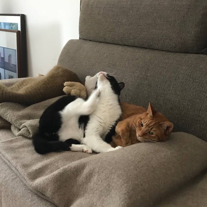 E0e5c29d fa48 4dfc bd9d b6e708bf602f 1515221563575