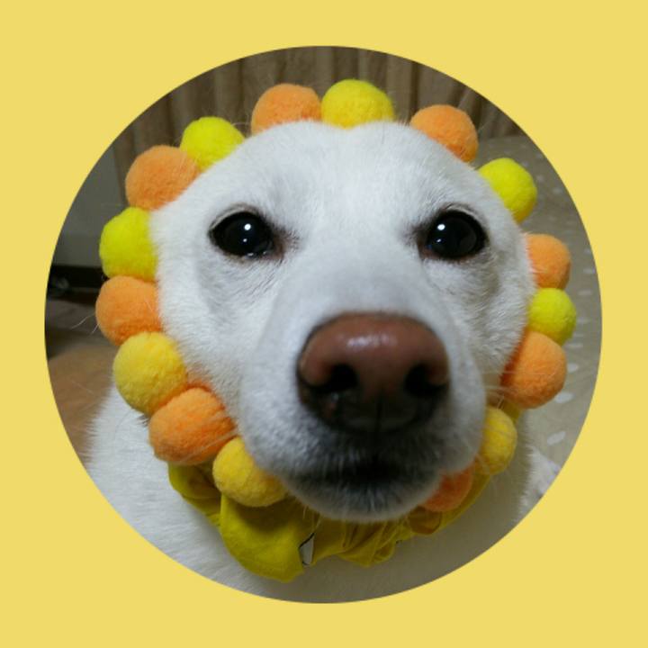 E0e5d05f 386d 43e3 93a2 de7e415f946e 1558438260827