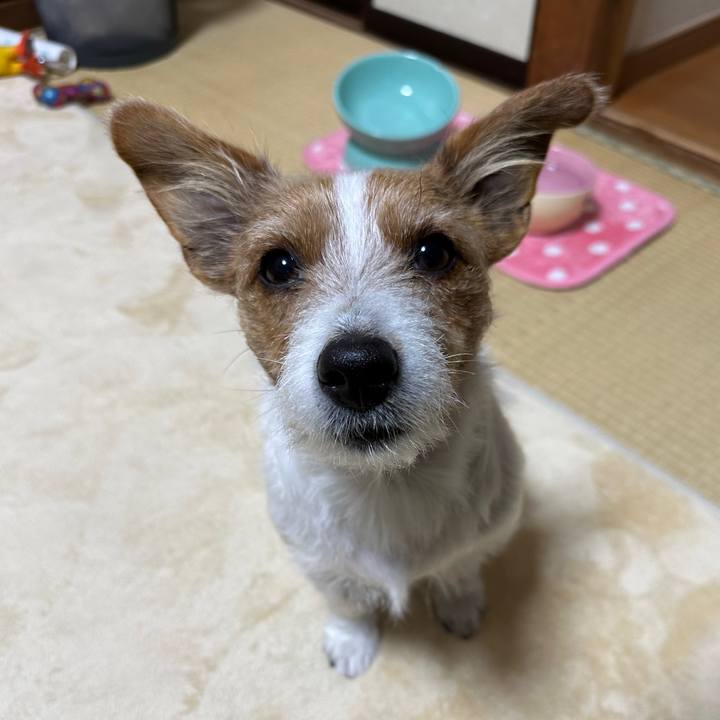 E0e5d791 838d 4d20 aa4b 2b85076d11b0 1765677570434