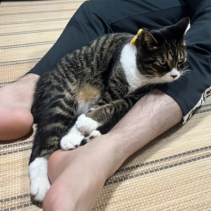 E0e5dfa1 038c 41c8 a943 92620dbc0d83 1764632020040