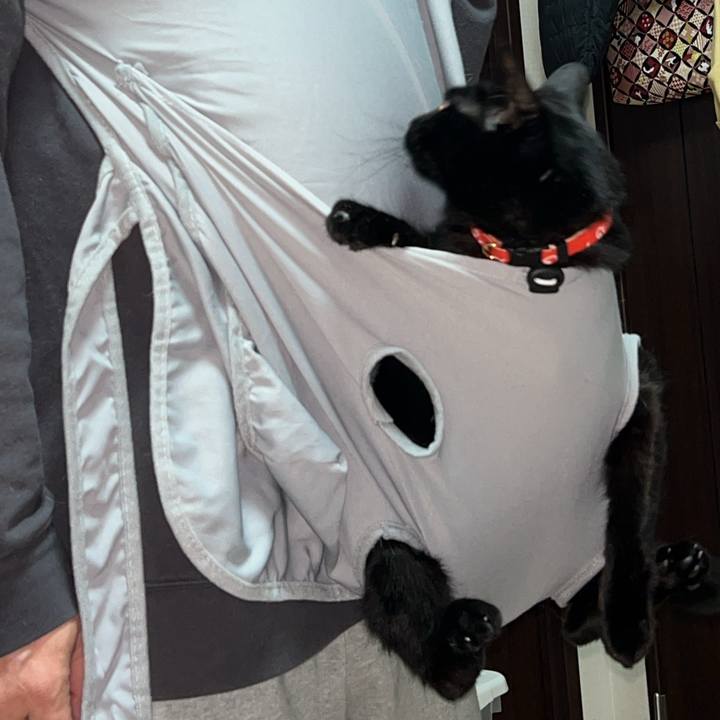 E0e5e001 8328 40d9 95d5 b2a0187312f0 1766774212417